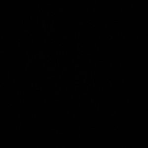 Meet your Posher, Benjy